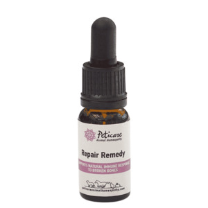 Bone Repair Remedy ShowThyme