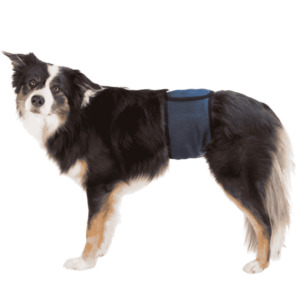 Trixie Male Belly Band ShowThyme