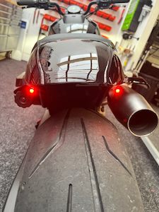 2022 Sportster S Tail Tidy