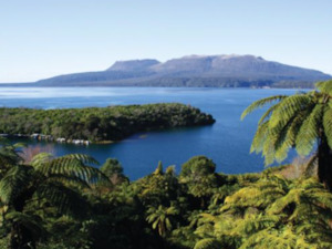 Lake Tarawera Private Wakeboard Lesson Shreddy NZ