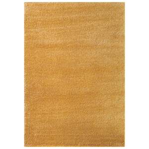 Shag: Remi Amber Rug