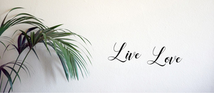 Products: Custom Wall Lettering - SignsAndDecals.co.nz