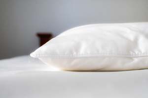 Silk Pillows: Pillows - 70% Mulberry Silk