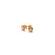 Petite Perle / Stud Earrings / Pearl + Gold