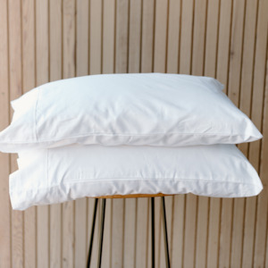 Homeware - Silk: 100% Silk Pillows combo deal