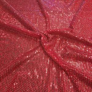 RUBY LINEAR EMBELLISHED TULLE