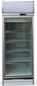 Upright Freezers: Delta RS-S1001F Showcase Freezer