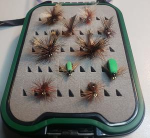 Recommended Seguno: Hawkes Bay NZ Selection