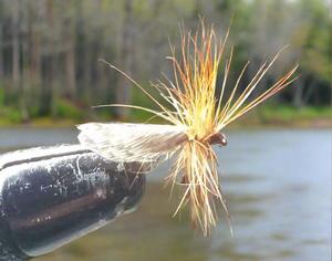 Recommended Seguno: Passion Vine Hopper Custom-tied Dozen