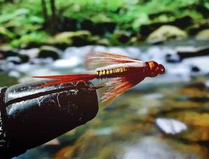 Recommended Seguno: Hot wired Prince (3)