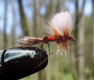 Recommended Seguno: GB Royal Coachman Nymph (3)