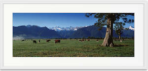 Panoramic Photography: Rural Fox Glacier - SMP024