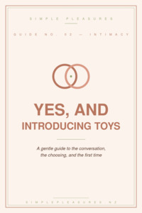 Yes, And: A Gentle Guide to Introducing Toys Into Your Relationship - E Book