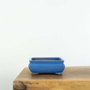 Tools: Bonsai Pots (6")