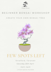 Beginner Bonsai Workshop | Saturday 26th April (Afternoon)