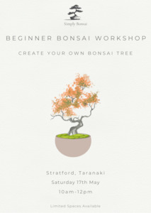 Beginner Bonsai Workshop | Saturday 17th May (Morning)