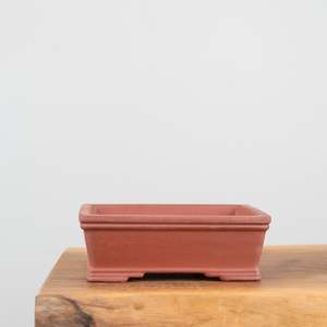 Premium Bonsai Pots