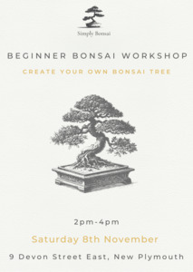 Beginner Bonsai Workshop | Saturday 8th November from 2pm-4pm