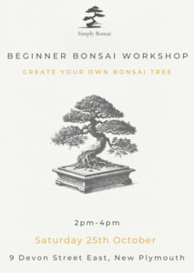 Beginner Bonsai Workshop | Saturday 25th October from 2pm-4pm