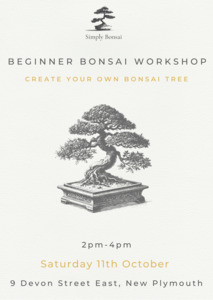 Beginner Bonsai Workshop | Saturday 11th October from 2pm-4pm