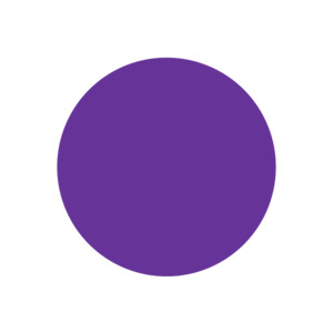 60mm Circle (Craft Blank)