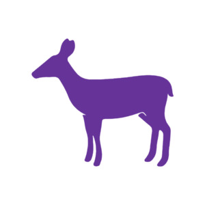 Easter Blanks: Deer 2 (Craft Blank)