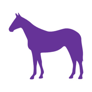 Horse (Craft Blank)