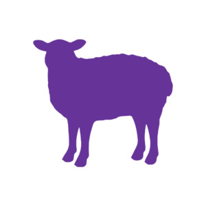 Easter Blanks: Sheep (Craft Blank)