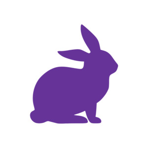 Easter Bunny (Craft Blank)