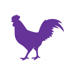 Farmyard Animals: Rooster (Craft Blank)
