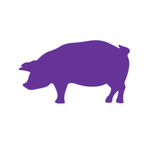 Farmyard Animals: Pig (Craft Blank)