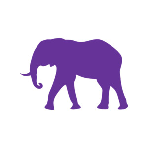 Safari Animals: Elephant 2 (Craft Blank)