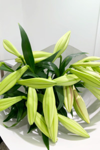 Bouquets: Lush Lily Bouquet