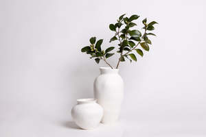 The Venus Vases