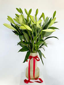 Home Page Favourites: Christmas Lily Vase