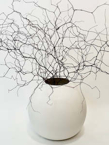 Vases: Muehlenbeckia in Harmie Dome Vase