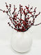 Red Berry in Harmie Dome Vase