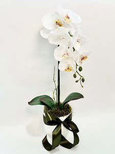 Silk Flowers: Silk Moth Orchid