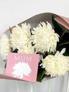 Mothers Day: ChrysantheMUM Bunch - PICKUP