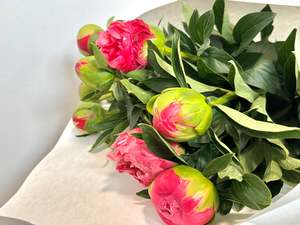 Home Page Favourites: Pretty Peony Bouquet