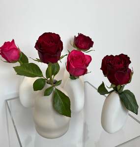 Valentines Day 2026: Single Rose (Wrapped/Bud Vase)