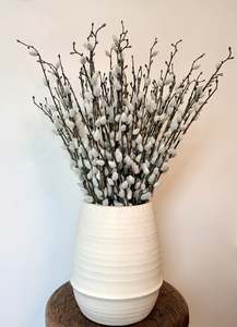 Silk Flowers: Pussy Willow
