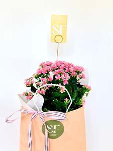 Gifts Cards: Kalanchoe Gift Bag