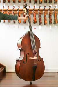 Villanova College: Virtuoso Double Bass Outfit