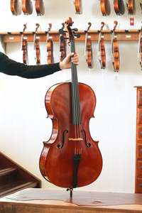 Jay Haide: Jay Haide Cello Stradivarius Model with European Timbers 4/4