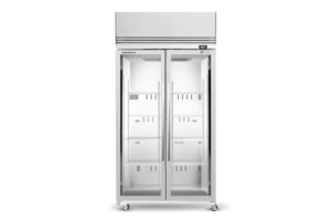 SKOPE ActiveCore 2 Glass Door Upright Display or Storage Freezer