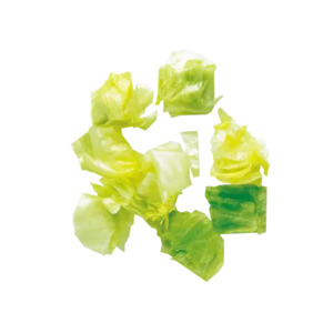 Robot Coupe Dicing Equipment 50 x 70 x 25mm (Salads)