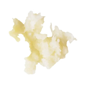 Robot Coupe Horseradish Grater 1mm