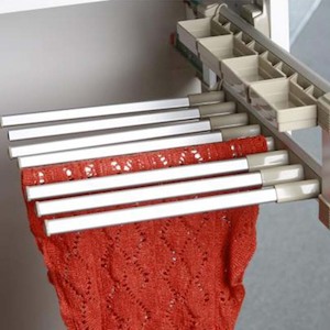 Accessories: Pull Out Pant Rack with Accessory Storage