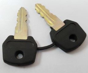 Spare Parts Explorer: Keys, pair, complete with keyring (NHP2012)